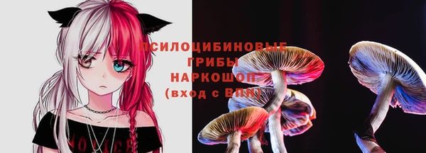 стаф Алексеевка