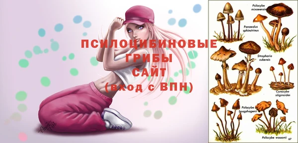 стаф Алексеевка