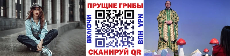 где купить наркоту  Перевоз  Галлюциногенные грибы GOLDEN TEACHER 
