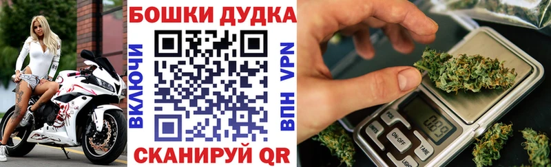 Бошки марихуана план  мега вход  Перевоз  сколько стоит 